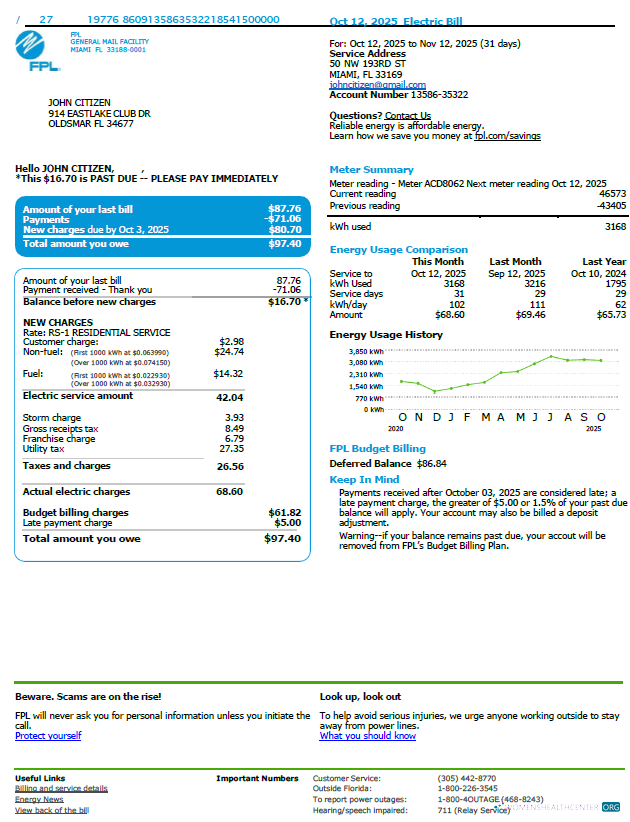 download download USA FPL utility bill template in Word and PDF formats, version 3 PDF template PDF template